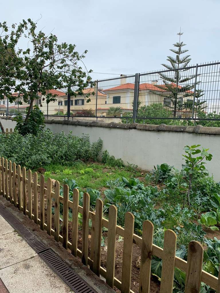 Hoje a horta da Escola Básica e Secundária de Carcavelos ficou mais bonita. Recebeu uma cerca e possibilidade de rega.​