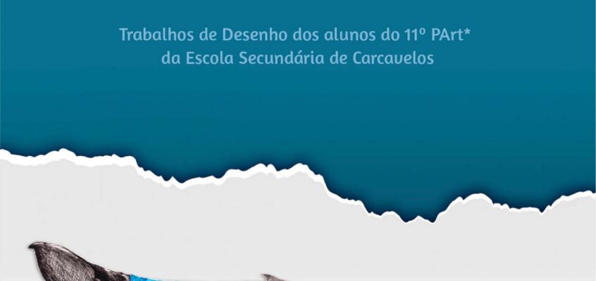Presente e “Futuro”: Ilustrações da Vida Marinha