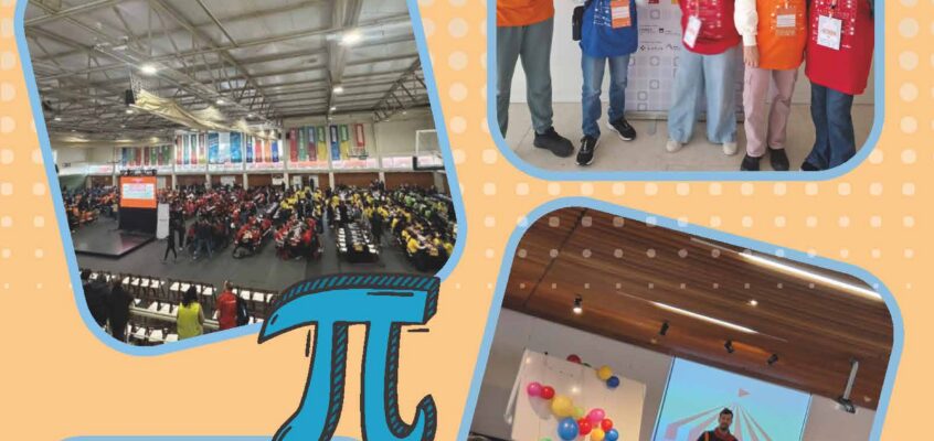 Dia do Pi