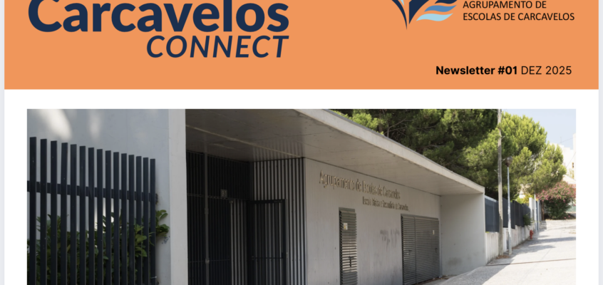 Newsletter #02