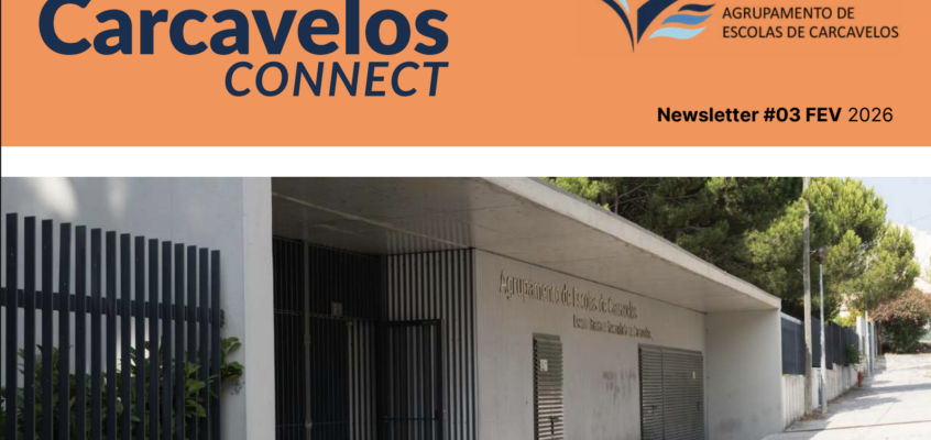 Newsletter #03