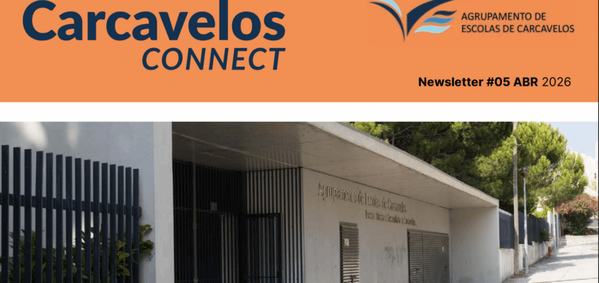 Newsletter #05